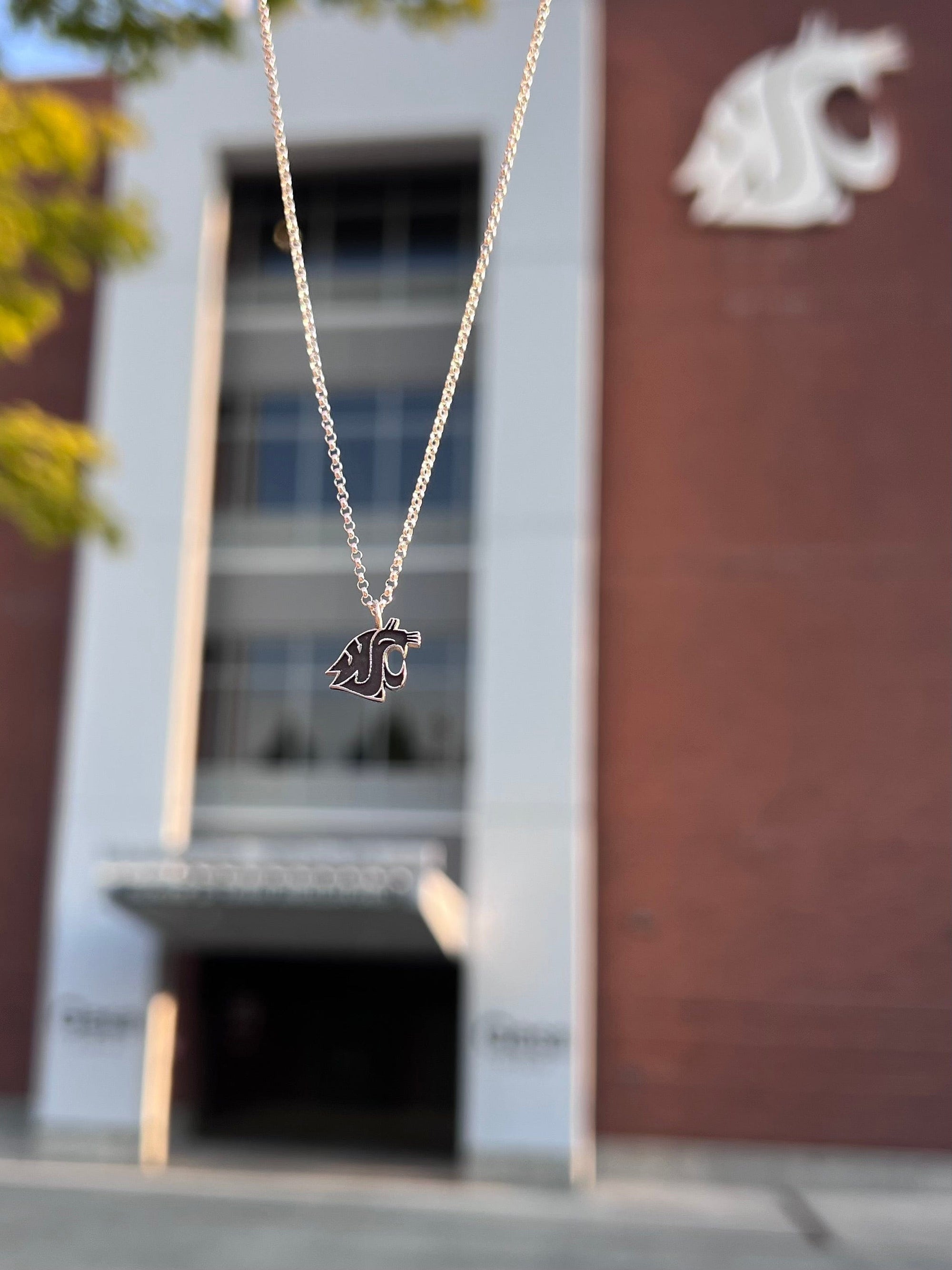 WSU Pendant Necklace Vintage Gray