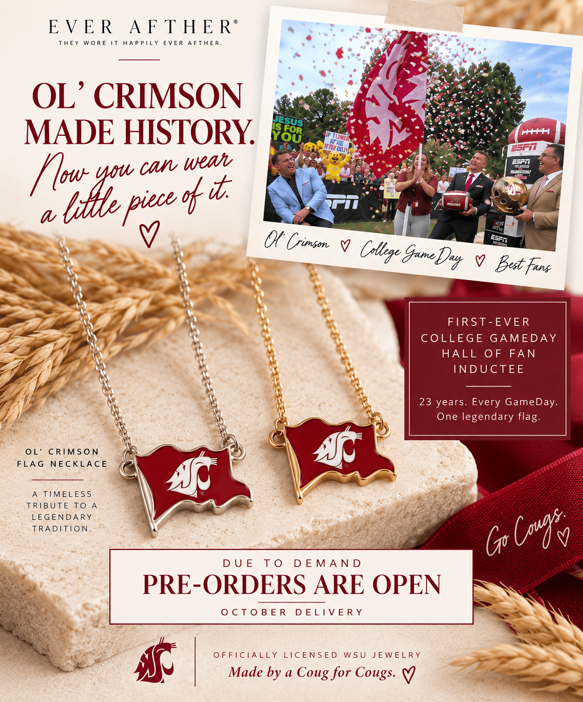 Ol' Crimson Flag Silver Necklace