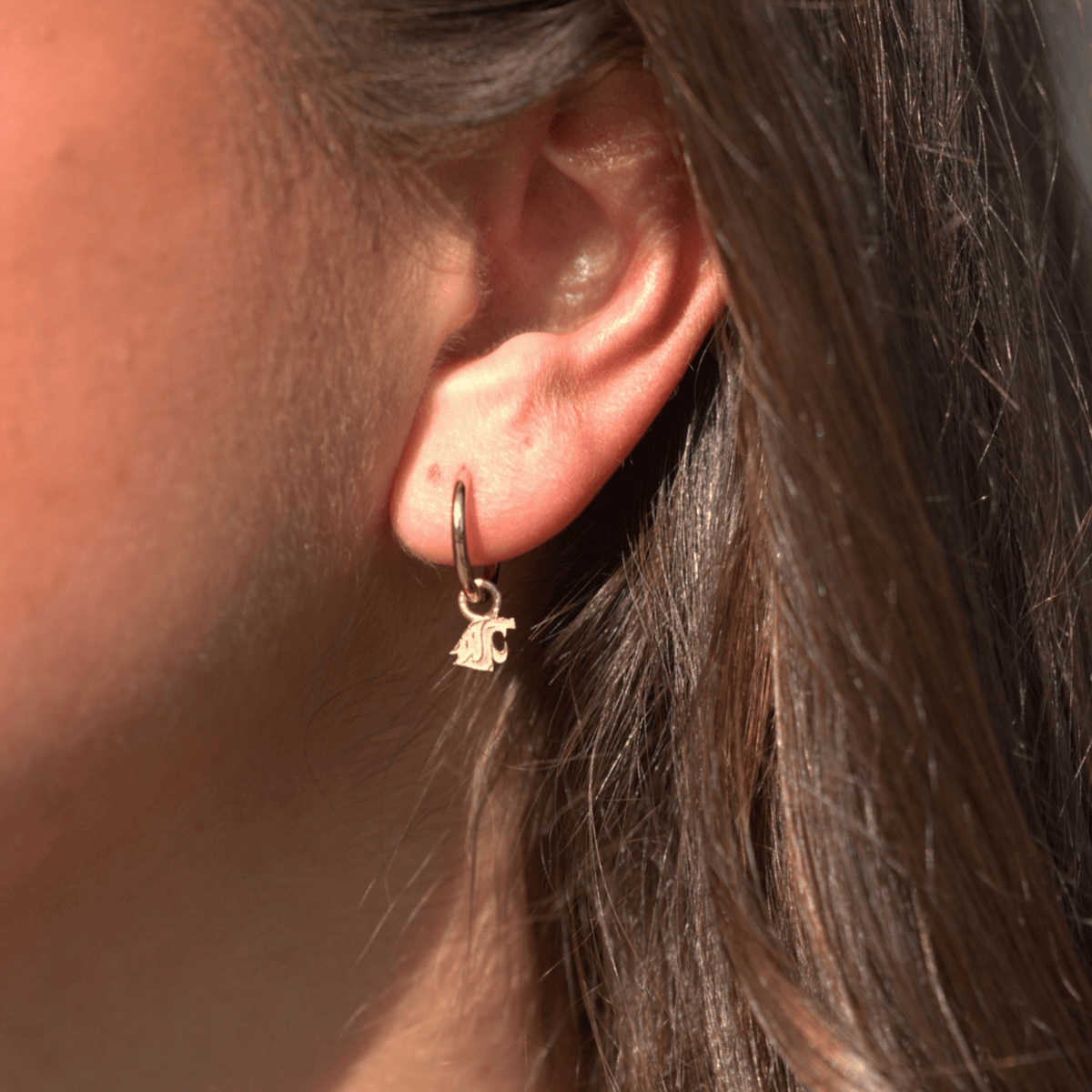 2 Looks in 1 | Removable Cougar Charms