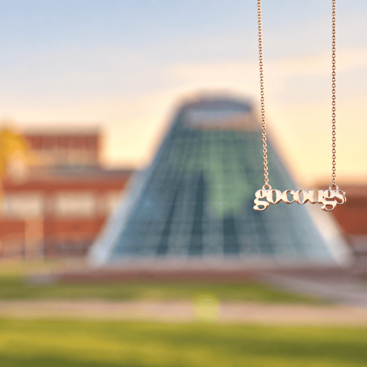 "Go Cougs" Silver Script Necklace