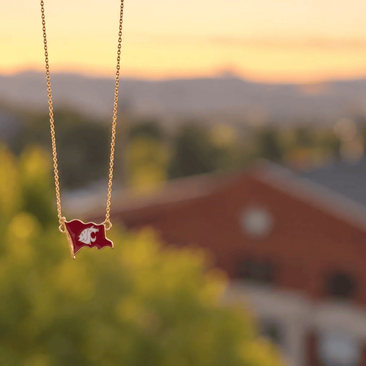 Ol' Crimson Flag Gold Necklace