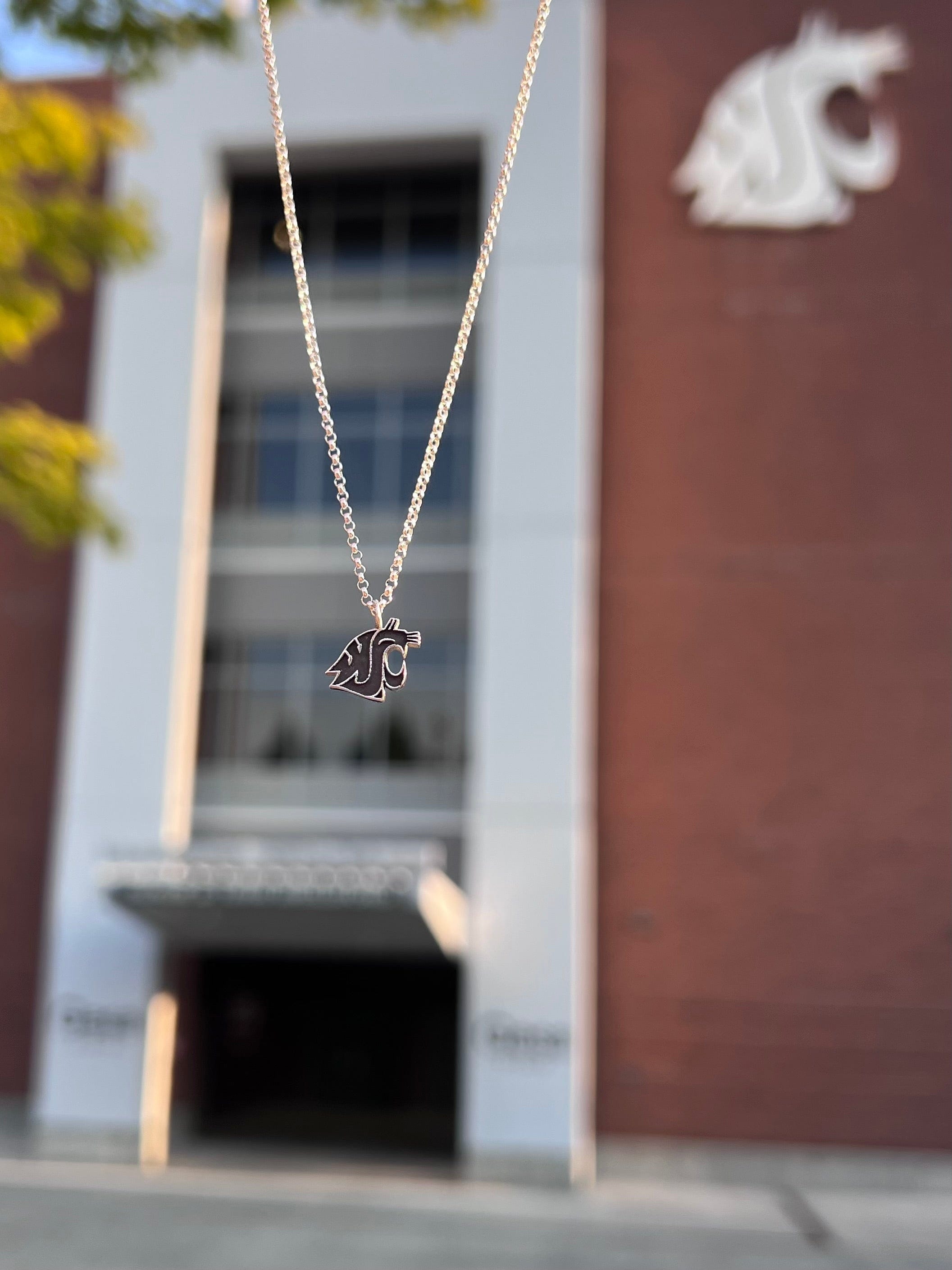 WSU Pendant Necklace Vintage Gray